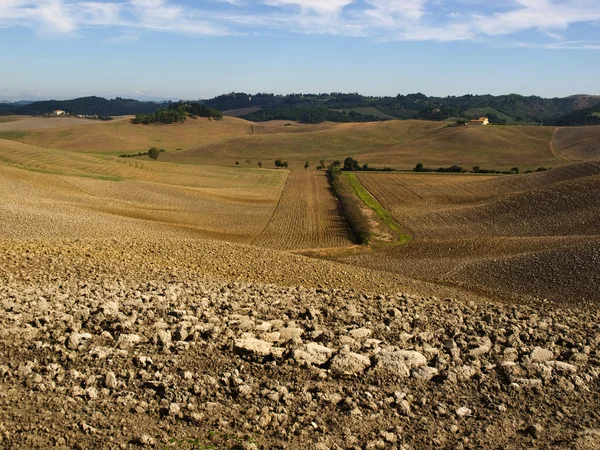 stock image Plowed field in tuscany