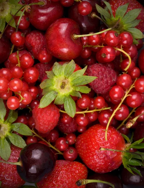 Vers rood fruit op zwarte achtergrond — Stockfoto
