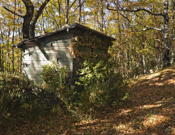 Stock image Hunter cabin in the forest with trees