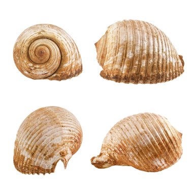 andere weergave voor een shell