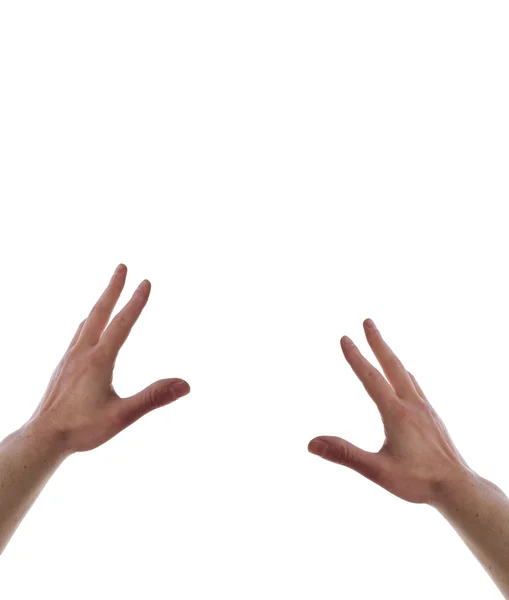 Duas mãos tomando gesto no fundo branco — Fotografia de Stock