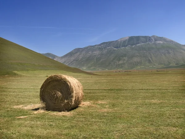 Stock image Landscape