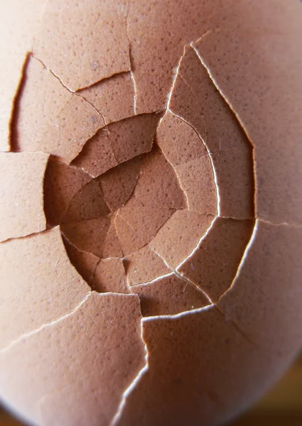 stock image Broken egg