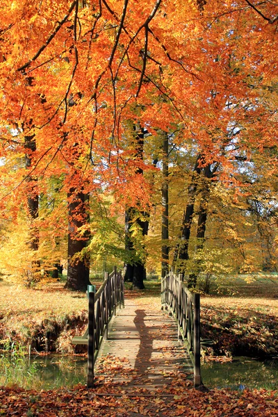 Herbst Landschaft Park bunt — Stockfoto