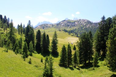 ALM ve dolomites Alp dağlarında