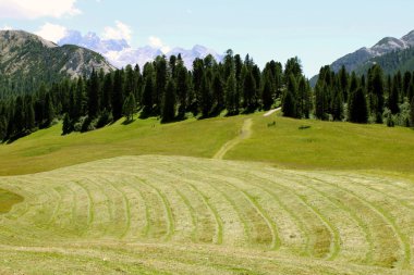 ALM ve dolomites Alp dağlarında