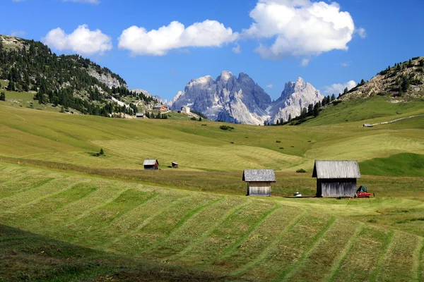 Alm and mountains in the Dolomites Alps — Stock Photo, Image