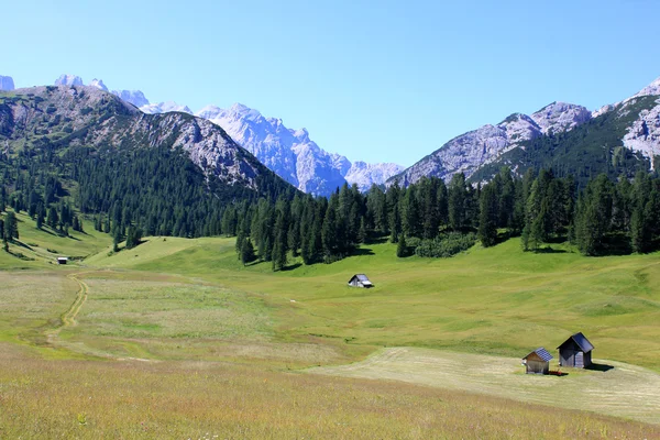 Alm och bergen i Dolomiterna Alperna — Stockfoto