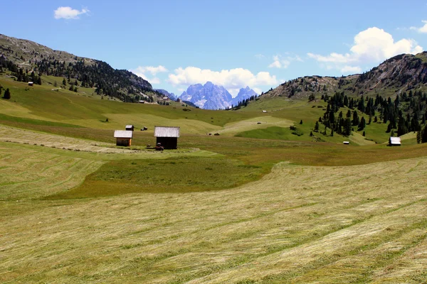 Alm e montanhas nos Alpes das Dolomitas — Fotografia de Stock
