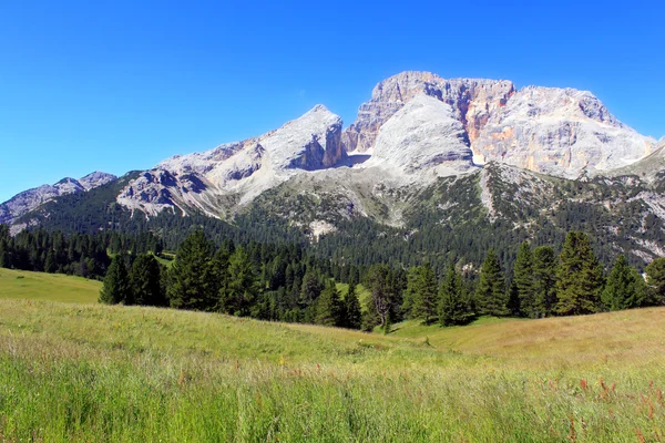 Alm and mountains in the Dolomites Alps — Stock Photo, Image