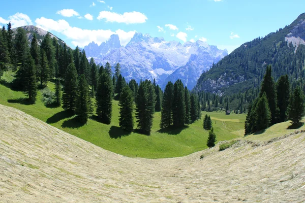 Alm och bergen i Dolomiterna Alperna — Stockfoto