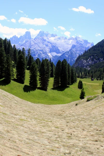 Alm i góry w Dolomitach — Zdjęcie stockowe
