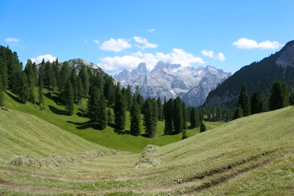 Alm and mountains in the Dolomites Alps — Stock Photo, Image