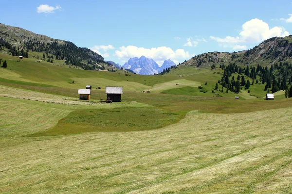 L'aulne et les montagnes dans les Alpes des Dolomites — Photo