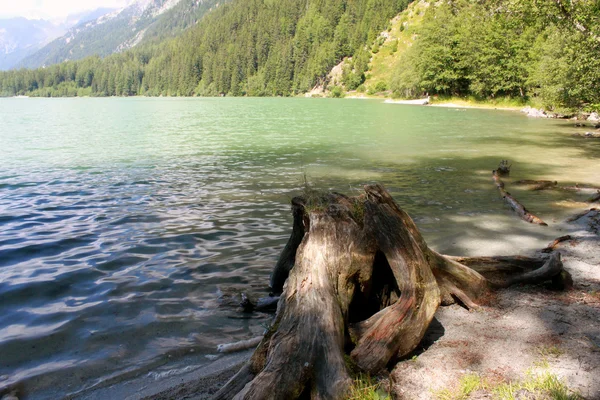 Lake Antholz in tyrol — Stock Photo, Image