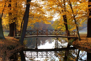 Fall autumn landscape with bridge and water clipart