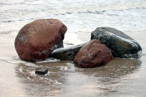 Камені на пляжі Стокове Зображення