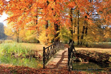 Landscape in fall autumn clipart