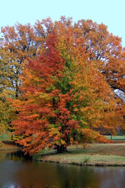 Landscape in fall autumn clipart