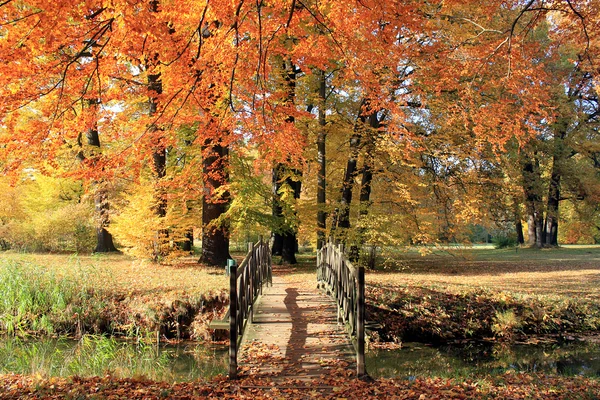 Landscape in fall autumn — Stock Photo, Image