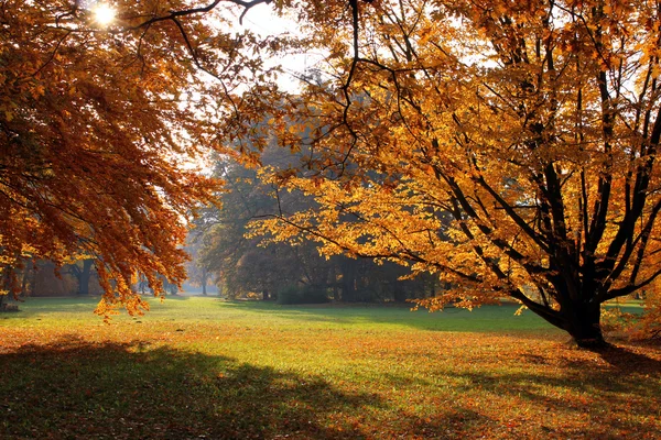 Landscape in fall autumn — Stock Photo, Image