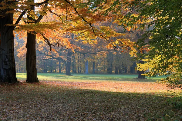 Paesaggio in autunno Foto Stock