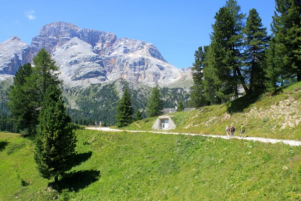 Alm i Dolomiterna Alperna — Stockfoto