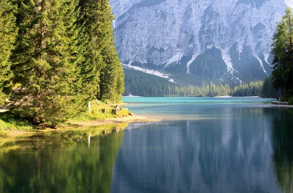 stock image Lake Prags in the Dolomites Alps