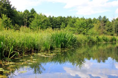 Seferberlikte Kanal