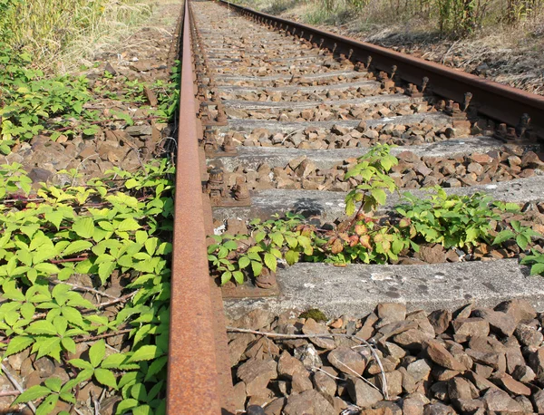 Vieja vía férrea oxidada —  Fotos de Stock