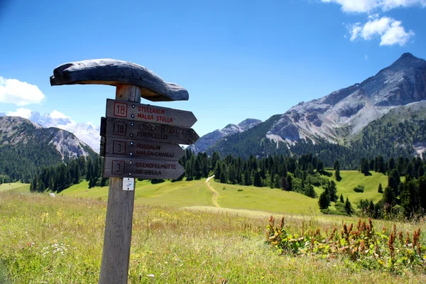 Alplerde yol işareti — Stok fotoğraf