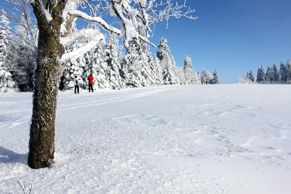 Naturaleza paisaje invierno Fotos de stock libres de derechos