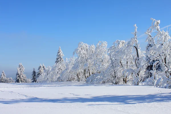 Winter landscape nature — Stock Photo, Image