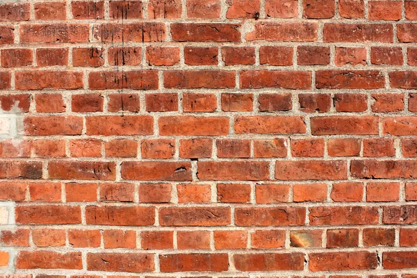 Ziegelmauer — Stockfoto