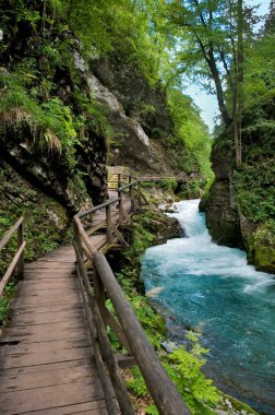 vintgar gorge ve ahşap yolda ble - Slovenya