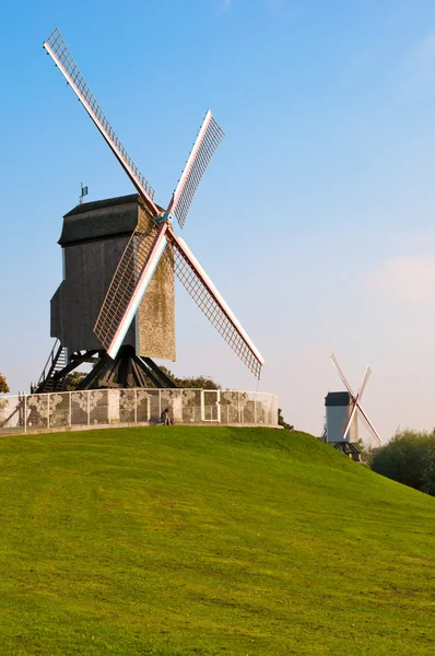 iki Rüzgar değirmeni ve brugge - Belçika, yeşil çim