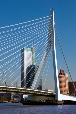 Erasmusbrug over Rotte river at Rotterdam - Netherlands clipart