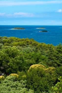 Vegetation Mediterranean sea and three islands at Vrsar - Croati clipart