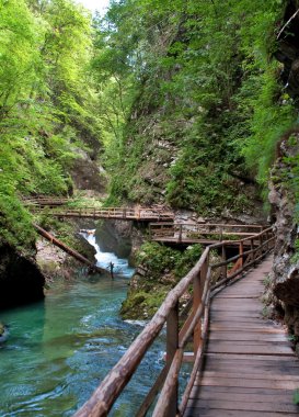 vintgar gorge ve ahşap yolda bled - Slovenya