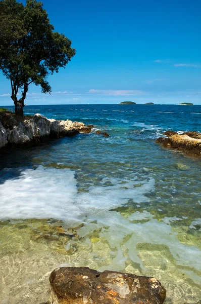 Steinige Meeresküste bei Vrsar - Kroatien — Stockfoto
