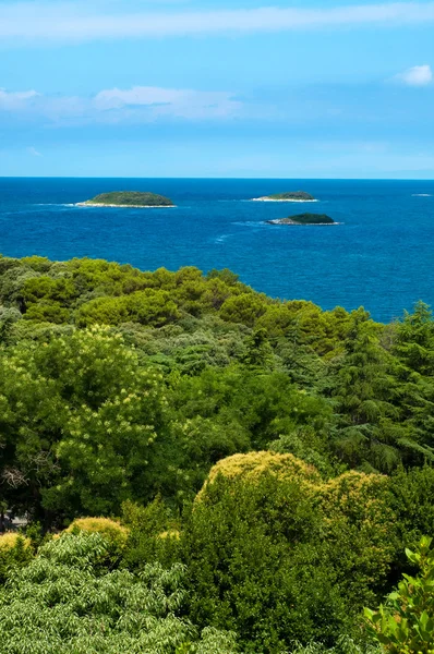 stock image Vegetation Mediterranean sea and three islands at Vrsar - Croati