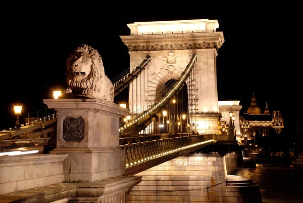 Night view of Chain Bridge at Budapest - Hungary — Stock Photo, Image
