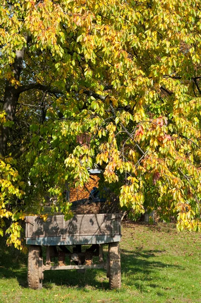 Ansichtkaart van oude houten auto onder boom — Stockfoto