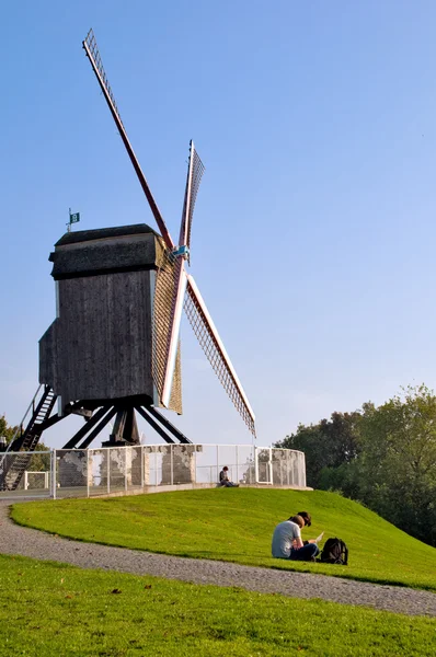 Twee jonge lezen in de buurt van windmolen in brugge - België — Stockfoto
