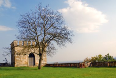 schloss seggau - liebnitz Avusturya, ağaç ve taş Kulesi