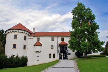 Bogensperk castle Front view clipart