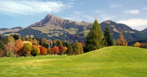 Grasland en groene bergen op kitzbuhel - Oostenrijk — Stockfoto