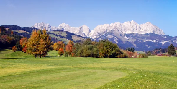Pastizales y montañas en un día soleado en Kitzbuhel - Austria —  Fotos de Stock