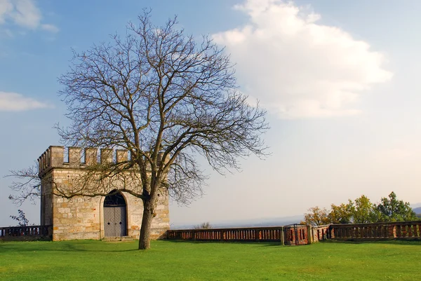 stock image Stone tower and tree at Schloss Seggau - Liebnitz Austria