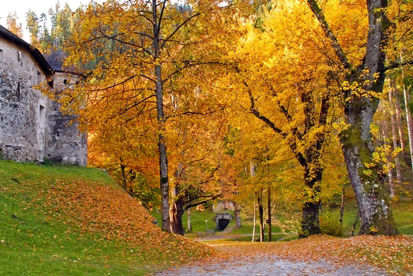 Herbst-Blick auf Gärten bei schloss bruck — Stockfoto